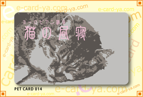 PETカード印刷用デザイン014