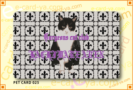 PETカード印刷用デザイン025