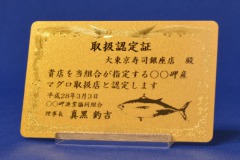 カード型賞状取り扱い ゴールド認定証05